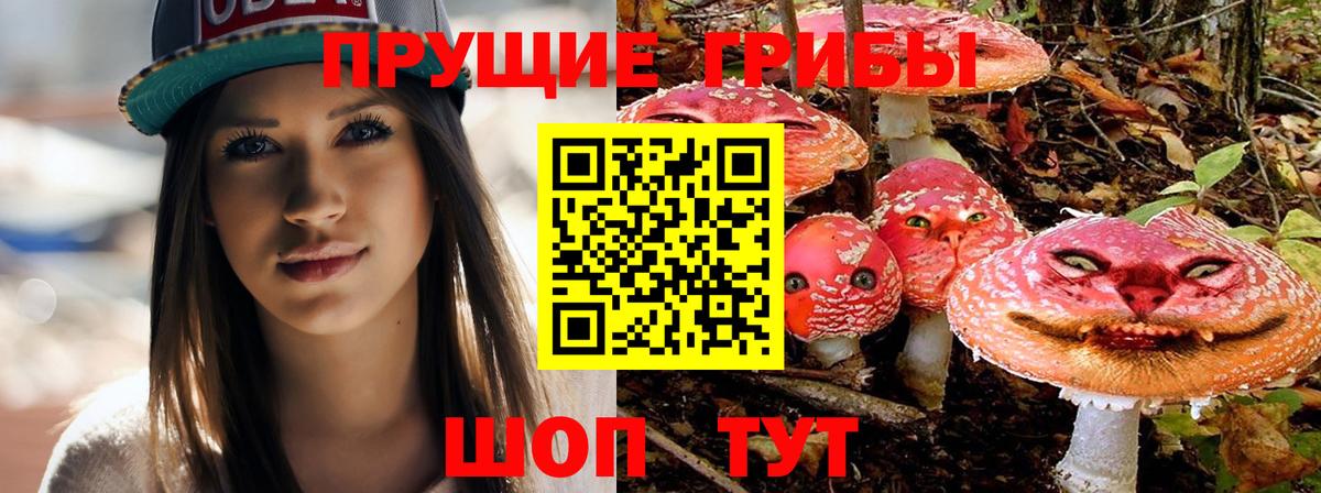 Кыштым  Псилоцибиновые грибы прущие грибы  Галлюциногенные грибы Psilocybine cubensis  Вход с VPN 